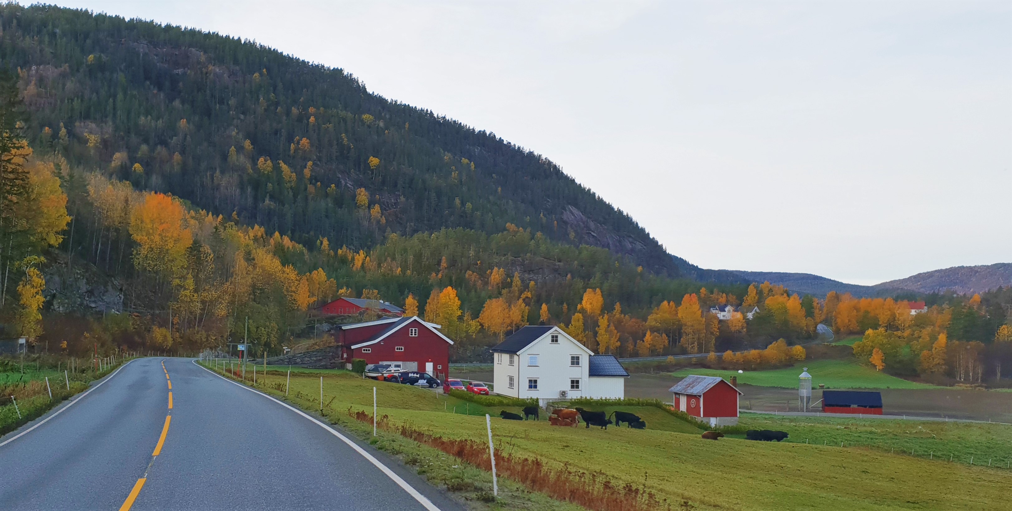 Utsikt fra bobil i Telemark